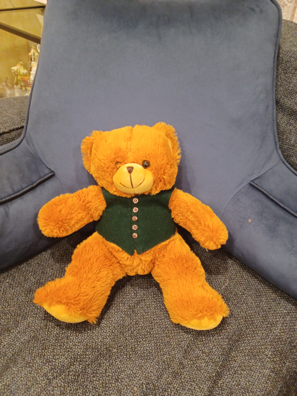 Bear #2: Green Vest