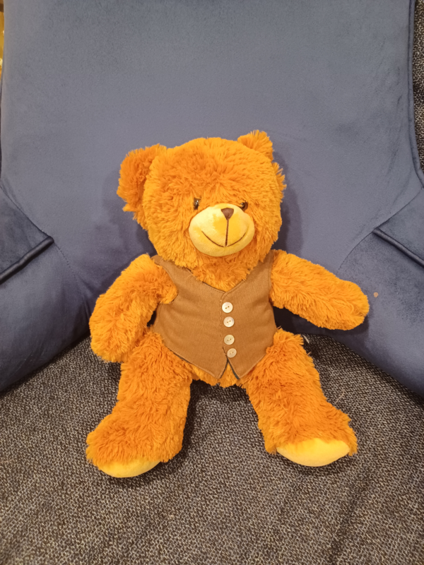 Bear #3: Brown Vest